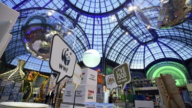 Jusqu'au 10 décembre, sous les verrières du Grand Palais, plus de 500 exposants présentent leurs solutions pour lutter contre le réchauffement climatique.