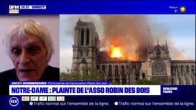 Notre-Dame: l'association Robin des bois fustige le projet de reconstruction à l'identique