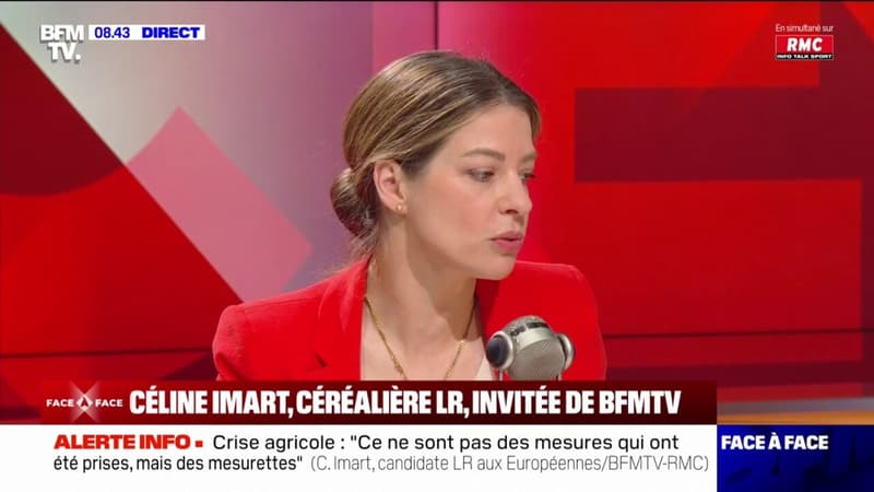 Céline Imart, agricultrice et candidate LR aux européennes: 