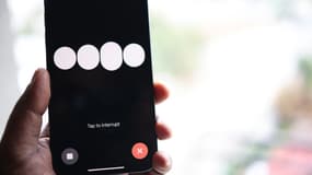 ChatGPT Voice.