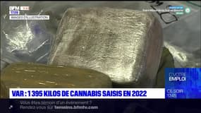Var: 1395 kilos de cannabis saisis en 2022