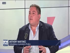 L'Hebdo des PME (1/5): entretien avec Anthony Martinez, Ealico - 06/07