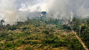 Un feu au sein de l'Amazonie, près de Porto Velho le 25 août 2019.