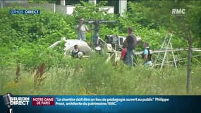 Evasion de Rédoine Faid: aucune charge retenue contre les 3 personnes placées en garde à vue