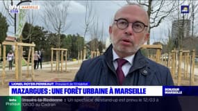 Marseille: bientôt une forêt urbaine à Mazargues