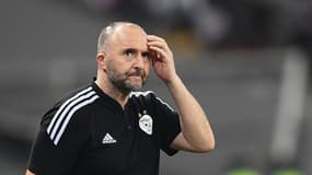 Côte d'Ivoire-Algérie : Djamel Delmadi