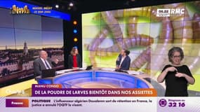 De la poudre de larves bientôt dans nos assiettes