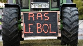 Des agriculteurs ont déversé de la mousse à la préfecture - Mardi 23 Février 2016