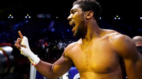 Anthony Joshua