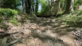 Le bassin du Jouques dans les Bouches-du-Rhône est passé en alerte sécheresse à la fin du mois d'avril.