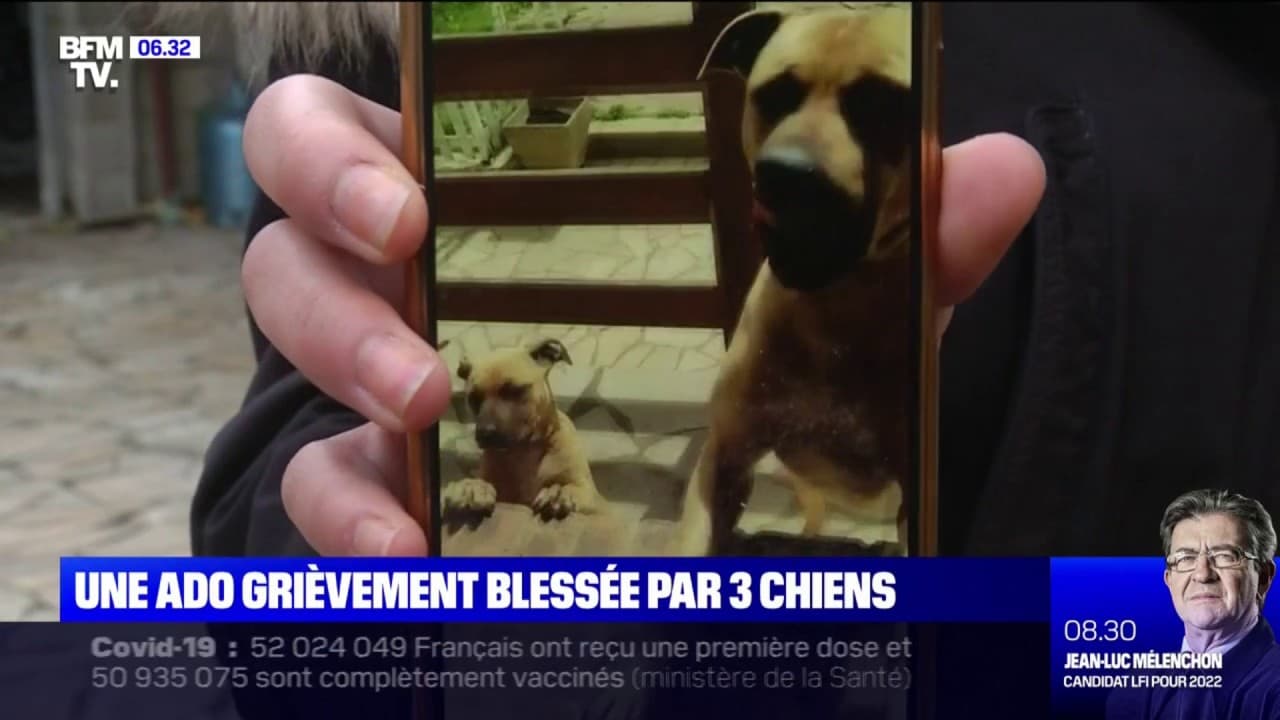 Une ado grièvement blessée après s