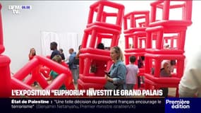 Bulles, structures gonflables et jeux de lumières, l'exposition "Euphoria" investit le Grand Palais