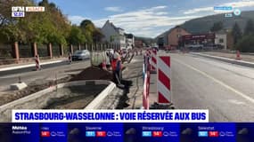 Bas-Rhin: la voie réservée aux bus entre Strasbourg et Wasselonne bientôt achevée