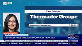 Emilie Da Silva (Eiffel IG) : Thermador, une société au management stable - 06/01