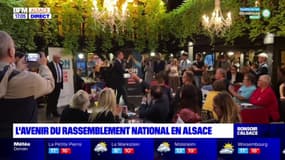 Politique: l'avenir du Rassemblement national en Alsace