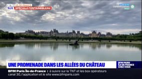 Château de Fontainebleau: à la découverte du Grand Parterre, le plus vaste d'Europe