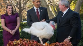 Obama gracie une dinde pour Thanksgiving.