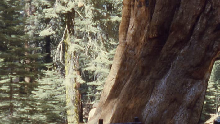 Le passage d'une voiture en 1962 Le passage d'une voiture en 1962