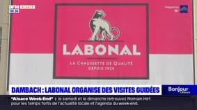 Dambach: Labonal organise des visites guidées