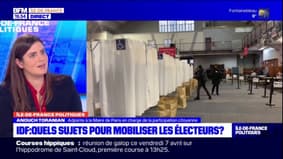 Paris: the city favorable to the organization of new referendums