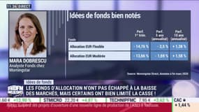 Idées de fonds: Les fonds d'allocation n'ont pas échappé à la baisse des marchés, mai certains ont bien limité la casse ! - 10/04