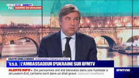 "Néonazis en Ukraine": pour l'ambassadeur d’Ukraine en France, les propos de Vladimir Poutine sont "le summum du cynisme"
