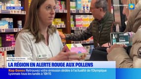 Alerte rouge dans le Rhône: comment atténuer les allergies aux pollens?