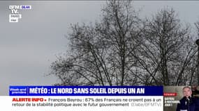 Météo: le nord de la France en manque cruel de soleil