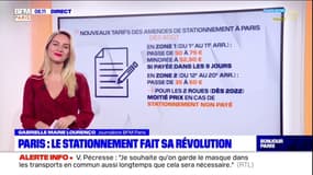 Paris Scan: la stationnement fait sa révolution dans la capitale