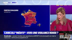 Canicule "inédite" : vers une vigilance rouge ? - 30/06