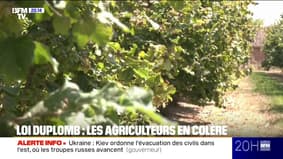Duplomb Law: Farmers en colère suite à la décision du Conseil constitutionnel