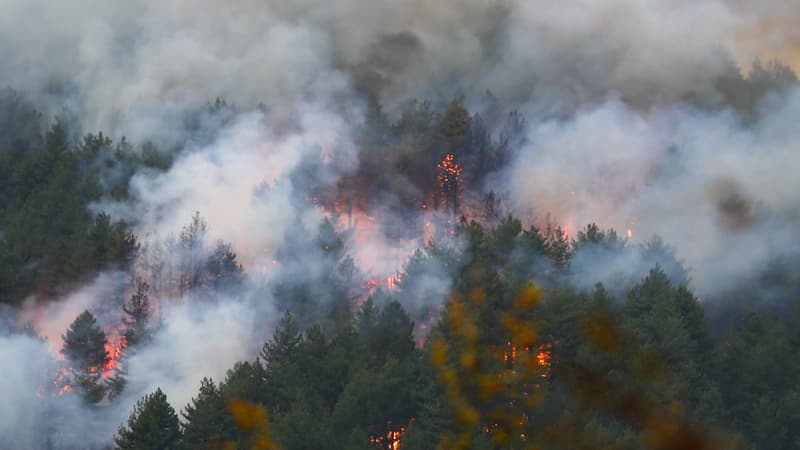 Le feu frappe la commune de Ghisoni en Haute-Corse. 