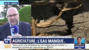 Le ministre de l'Agriculture évoque une sécheresse "en surface" et un niveau "correct" des nappes phréatiques 