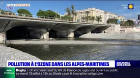 Alpes-Maritimes: un risque de pollution à l'ozone ce mardi 
