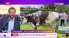 L'histoire de Charles Magnien : "Loto Bouse", où la vache va-t-elle se soulager ? - 30/05