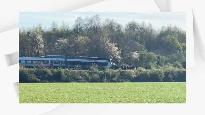 Un TGV percute un poids lourd transportant des véhicules militaires dans le Pas-de-Calais