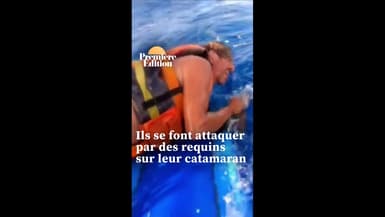Attaqué par des requins, un Français raconte son sauvetage en Australie  