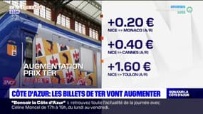 Côte d'Azur: le prix des billets de TER va augmenter de plus de 2%