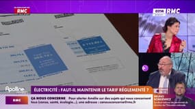 Electricité : Faut-il maintenir le tarif réglementé