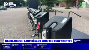 Villeneuve d'Ascq: des trottinettes gratuites et en libre service retirées après des dégradations
