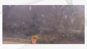 De premiers flocons sont tombés ce mercredi 20 novembre matin sur les hauteurs du Beaujolais.