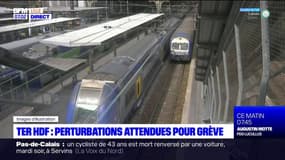 Nord-Pas-de-Calais: la circulation des TER perturbée en raison d'une grève