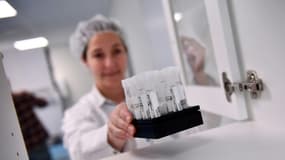 Des échantillons de salive dans le laboratoire d'analyse de l'endométriose Ziwig à Tercis-les-Bains, dans le département des Landes, le 25 mars 2024
