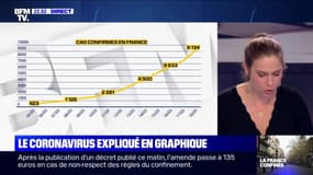 Le coronavirus expliqué en graphique - 18/03