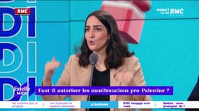 Manifestation pro-palestinienne: "une démocratie n'a pas à interdire une manifestation"