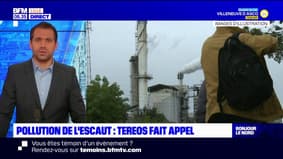 Pollution de l'Escaut: condamnée à verser plus de 9 millions d'euros aux parties civiles, l'entreprise Tereos fait appel