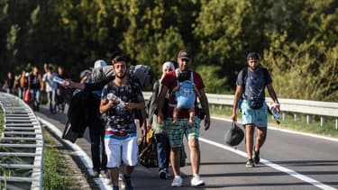 Des migrants marchent en direction de la Croatie le 17 septembre 2015