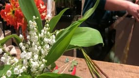 Du muguet