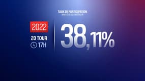 La participation au second tour des élections législatives 2022 s'élève à 38,11% à 17 heures.