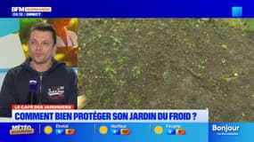 Le Café des Jardiniers: bien protéger son jardin face au froid
